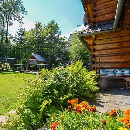 Bed & Breakfast Figusowka Pod Nosalem