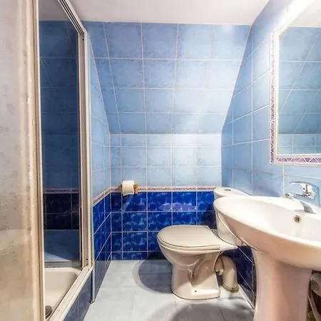 住宿加早餐酒店 Figusowka Pod Nosalem