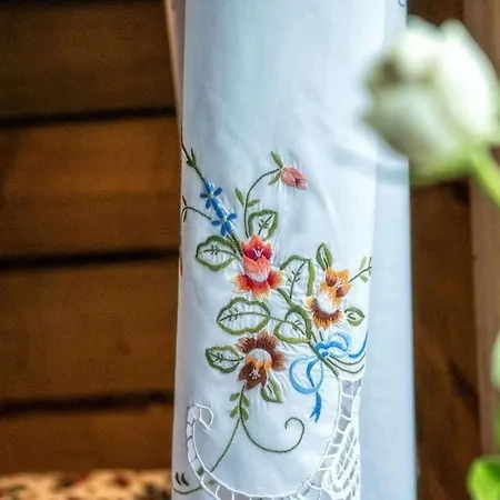 住宿加早餐酒店 Figusowka Pod Nosalem 扎科帕内