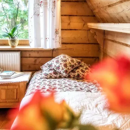 Figusowka Pod Nosalem 3*