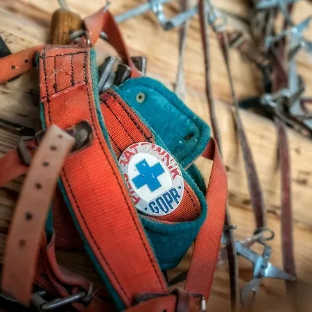 住宿加早餐酒店 Figusowka Pod Nosalem 扎科帕内